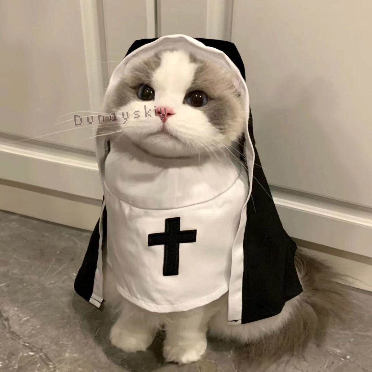 Christmas Pet Dog Cat Cosplay  - Anime Cosplay Nun ulasan dan harga