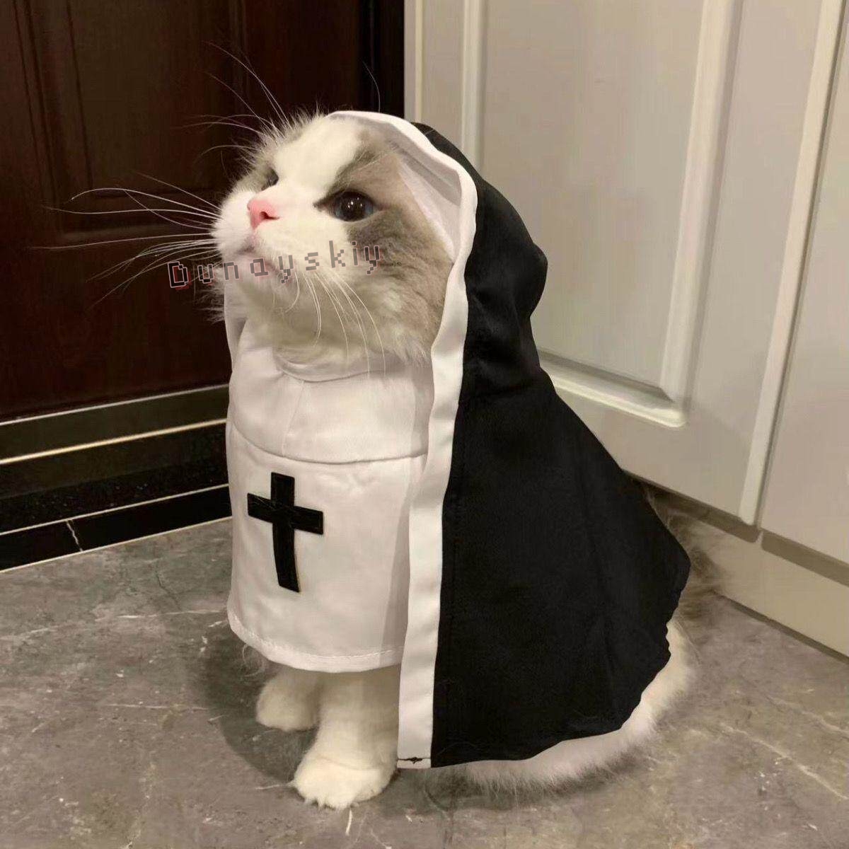 Christmas Pet Dog Cat Cosplay  - Anime Cosplay Nun ulasan dan harga