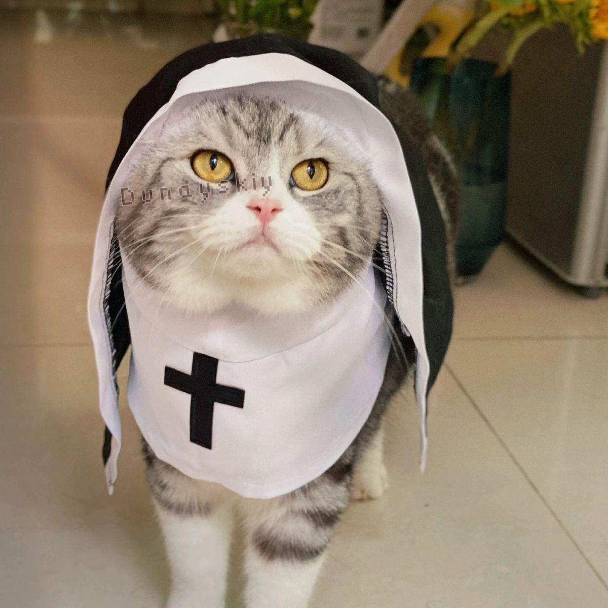 Christmas Pet Dog Cat Cosplay  - Anime Cosplay Nun ulasan dan harga